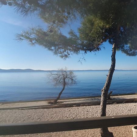 Apartment Zadar - Pine Diklo Eksteriør bilde